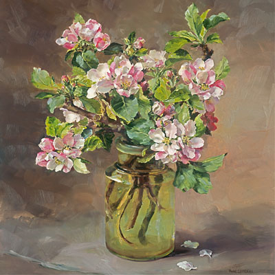 Apple Blossom Flower Card by Anne Cotterill